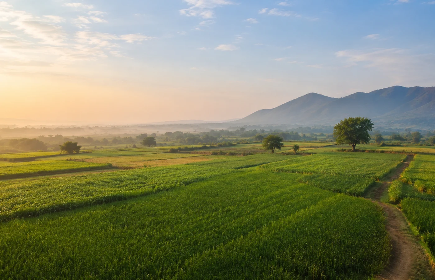 Land and regional development context around Pune